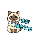 猫の子1（個別スタンプ：22）