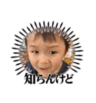 sj姉弟スタンプ（個別スタンプ：20）
