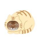 Chiro＆Dale  4（個別スタンプ：21）