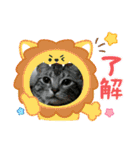 Chiro＆Dale  4（個別スタンプ：22）