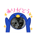 Chiro＆Dale  4（個別スタンプ：33）