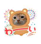 Chiro＆Dale  4（個別スタンプ：39）