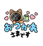 Chiro＆Dale  4（個別スタンプ：40）