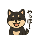 黒柴の日常スタンプl（個別スタンプ：1）