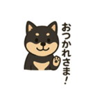 黒柴の日常スタンプl（個別スタンプ：2）