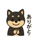 黒柴の日常スタンプl（個別スタンプ：3）