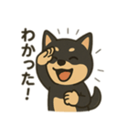黒柴の日常スタンプl（個別スタンプ：7）