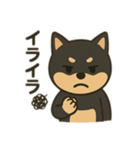 黒柴の日常スタンプl（個別スタンプ：8）
