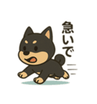 黒柴の日常スタンプl（個別スタンプ：10）