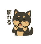 黒柴の日常スタンプl（個別スタンプ：11）