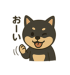 黒柴の日常スタンプl（個別スタンプ：12）