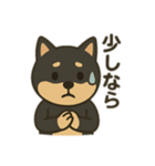 黒柴の日常スタンプl（個別スタンプ：13）