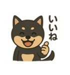 黒柴の日常スタンプl（個別スタンプ：14）