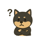 黒柴の日常スタンプl（個別スタンプ：16）
