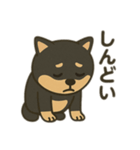 黒柴の日常スタンプl（個別スタンプ：19）