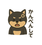 黒柴の日常スタンプl（個別スタンプ：21）