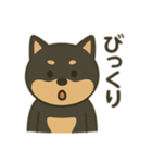 黒柴の日常スタンプl（個別スタンプ：22）