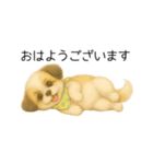 シーズー日常スタンプ（色鉛筆風）（個別スタンプ：1）