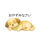 シーズー日常スタンプ（色鉛筆風）（個別スタンプ：2）