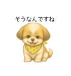 シーズー日常スタンプ（色鉛筆風）（個別スタンプ：12）