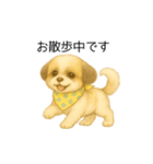 シーズー日常スタンプ（色鉛筆風）（個別スタンプ：35）