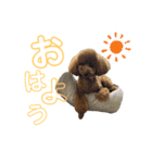 ni25co（個別スタンプ：1）