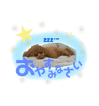 ni25co（個別スタンプ：2）