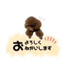 ni25co（個別スタンプ：6）