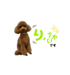 ni25co（個別スタンプ：8）
