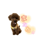 ni25co（個別スタンプ：10）