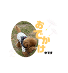 ni25co（個別スタンプ：13）