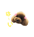 ni25co（個別スタンプ：19）