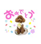 ni25co（個別スタンプ：20）