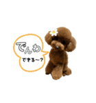 ni25co（個別スタンプ：22）