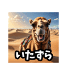 ラクダ表情スタンプ40連発！（個別スタンプ：16）