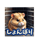 ハムスター表情スタンプ40選（個別スタンプ：5）