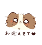 よくしゃべる 出っ歯ピオン（個別スタンプ：13）