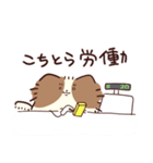 よくしゃべる 出っ歯ピオン（個別スタンプ：19）
