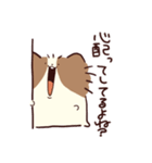 よくしゃべる 出っ歯ピオン（個別スタンプ：29）