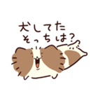 よくしゃべる 出っ歯ピオン（個別スタンプ：37）