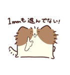 よくしゃべる 出っ歯ピオン（個別スタンプ：38）