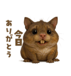 キモブサカワ1（個別スタンプ：35）