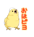 ちゅんトーク（個別スタンプ：2）
