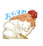 ちゅんトーク（個別スタンプ：3）