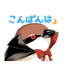 ちゅんトーク（個別スタンプ：5）