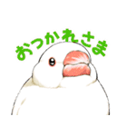 ちゅんトーク（個別スタンプ：7）
