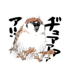 ちゅんトーク（個別スタンプ：10）
