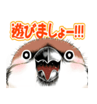 ちゅんトーク（個別スタンプ：11）