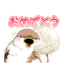 ちゅんトーク（個別スタンプ：12）