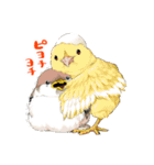 ちゅんトーク（個別スタンプ：15）